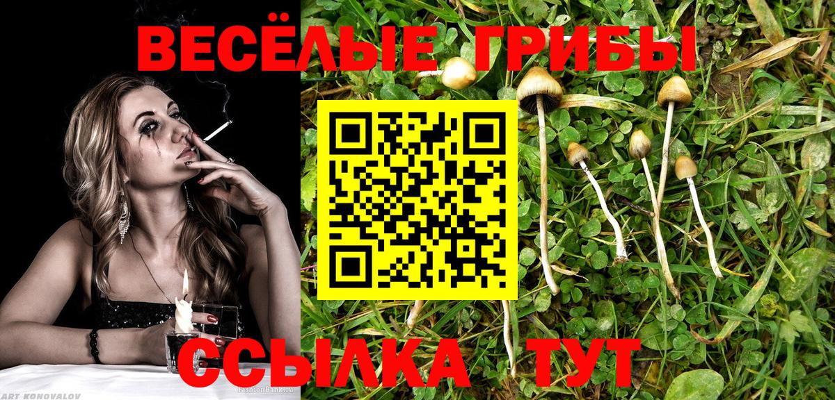 ГАШ Камышлов
