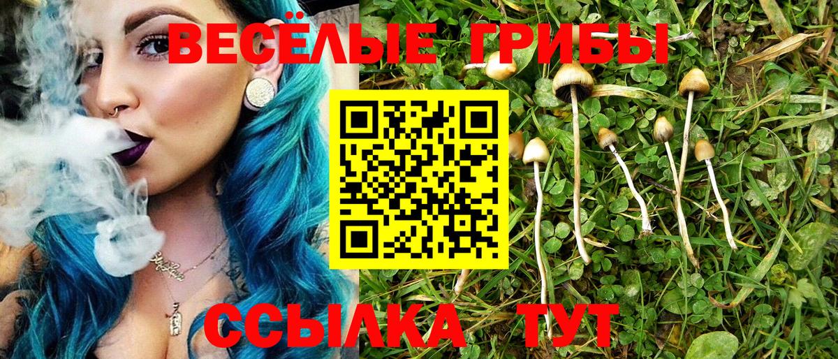 Галлюциногенные грибы мухоморы  закладка  Камышлов  Псилоцибиновые грибы мухоморы  Вход с VPN 